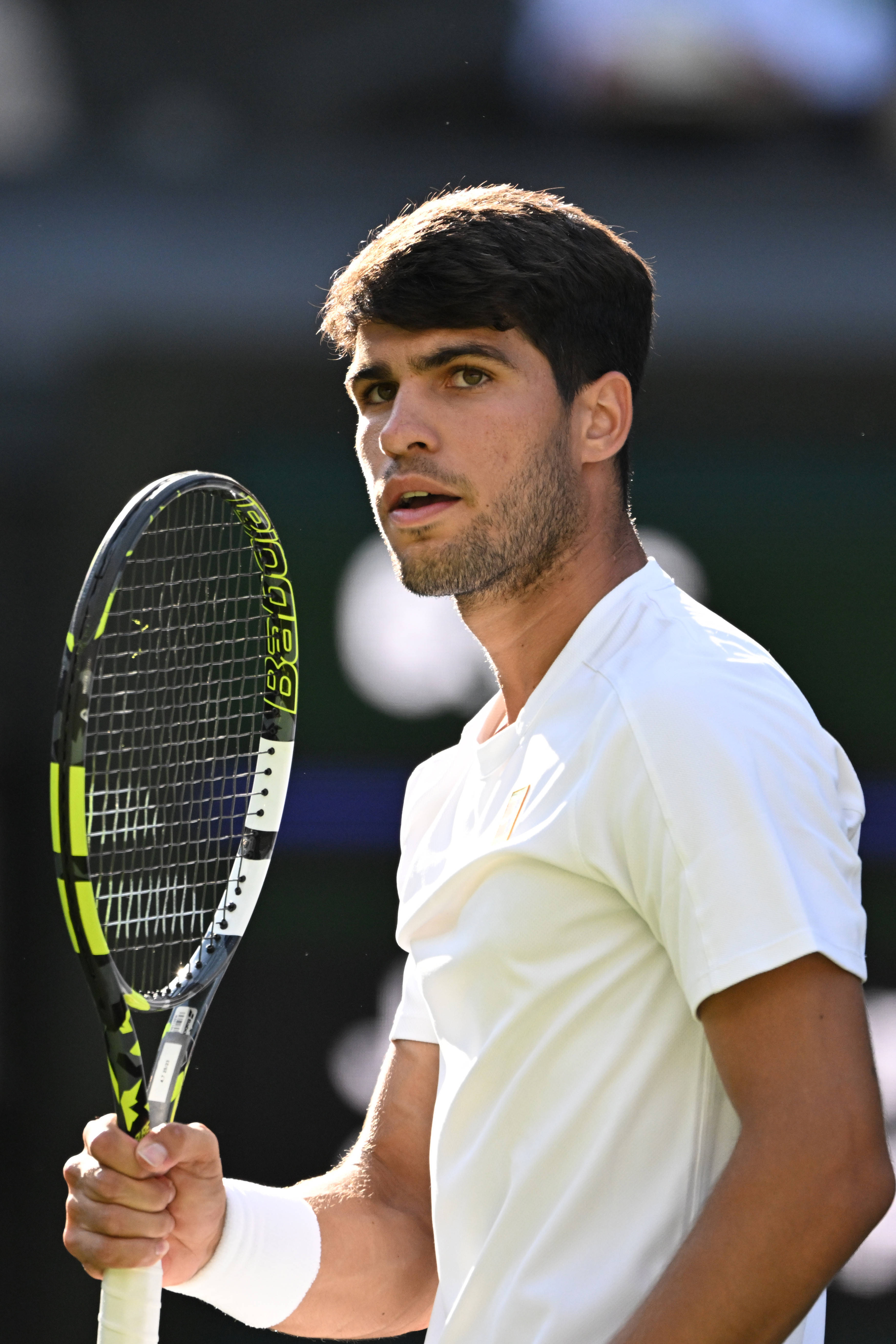 关于美国网球队碾压澳大利亚网球队，阿尔卡拉斯惊艳世界的信息