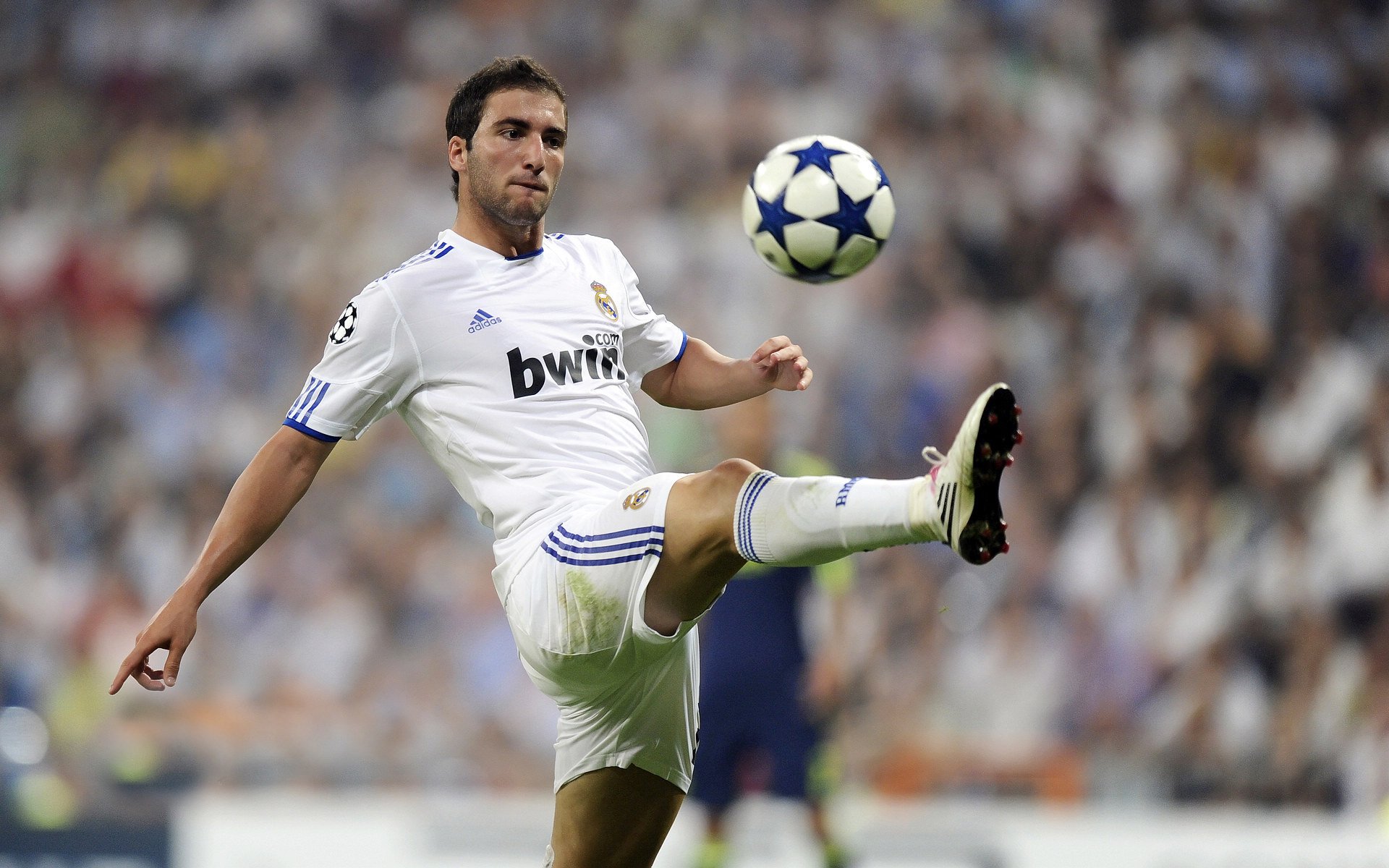 绿茵场上的郑思维，德国队战术纪律与日本队灵巧的碰撞